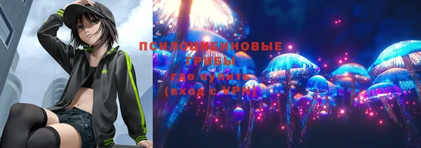 соль ск Абинск