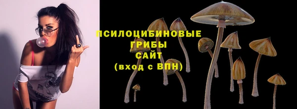 гашик Алзамай